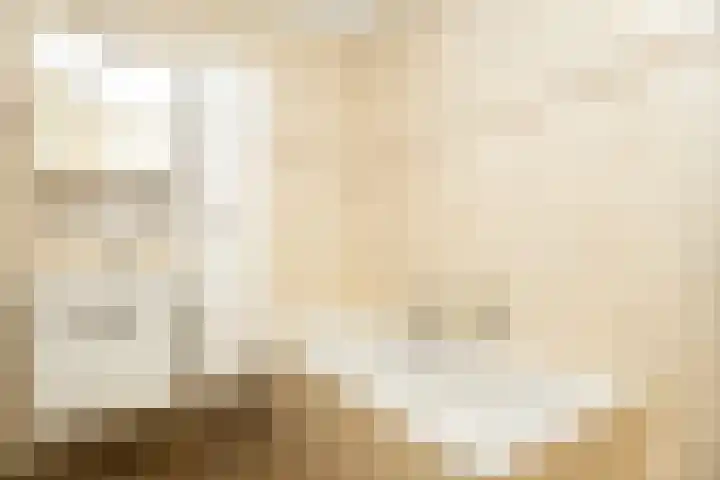 Schouwmeester 2 Zwaag thumbnail 31