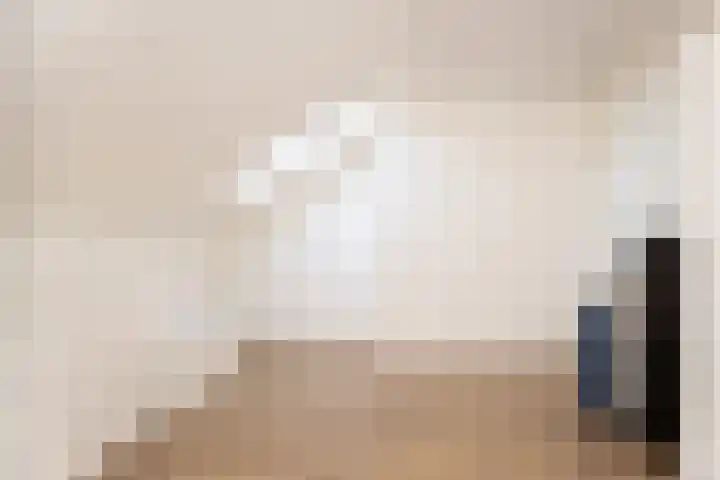 Schouwmeester 2 Zwaag thumbnail 37