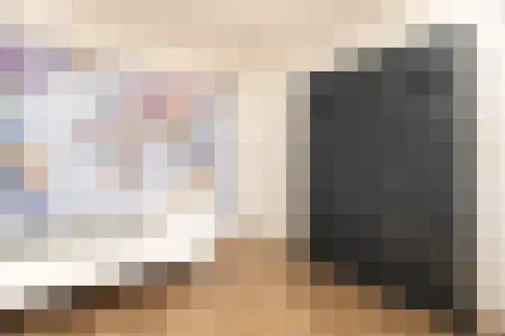 Schouwmeester 2 Zwaag thumbnail 40