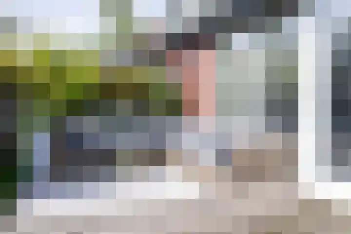 Schouwmeester 2 Zwaag thumbnail 43