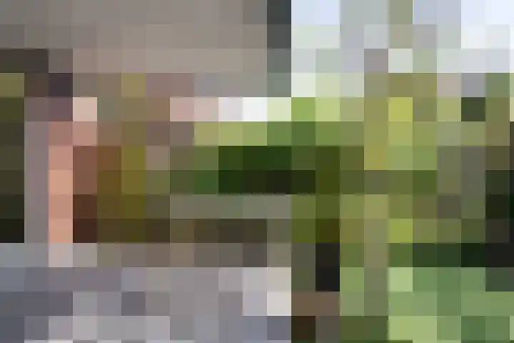 Schouwmeester 2 Zwaag thumbnail 45