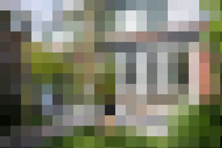 Schouwmeester 2 Zwaag thumbnail 46