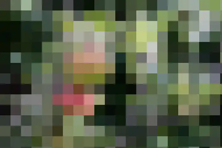 Schouwmeester 2 Zwaag thumbnail 51