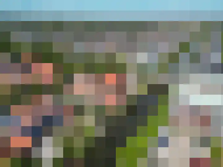 Schouwmeester 2 Zwaag thumbnail 52