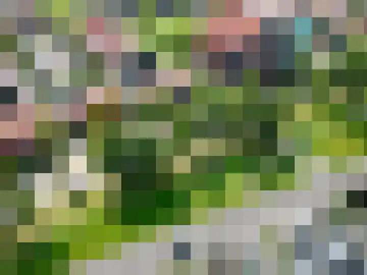 Schouwmeester 2 Zwaag thumbnail 53