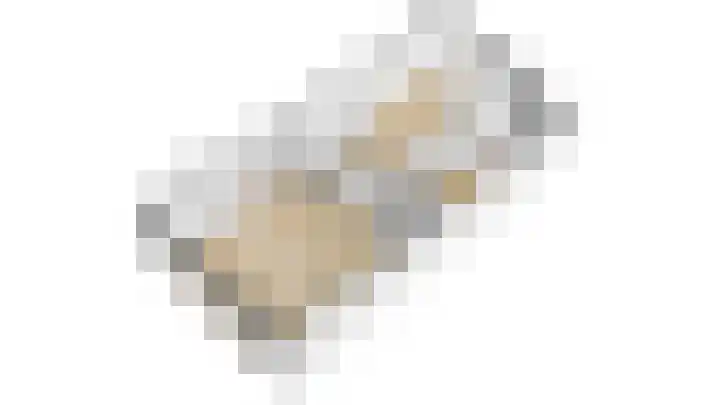 Schouwmeester 2 Zwaag thumbnail 55