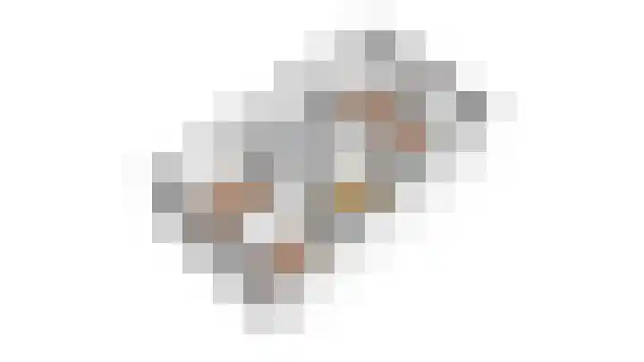 Schouwmeester 2 Zwaag thumbnail 58