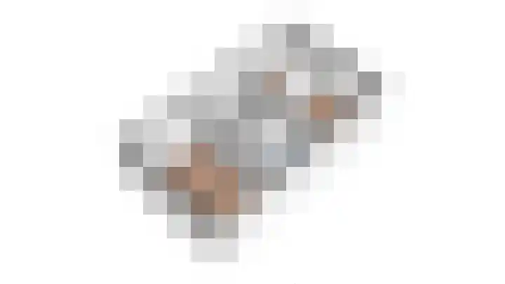 Schouwmeester 2 Zwaag thumbnail 59