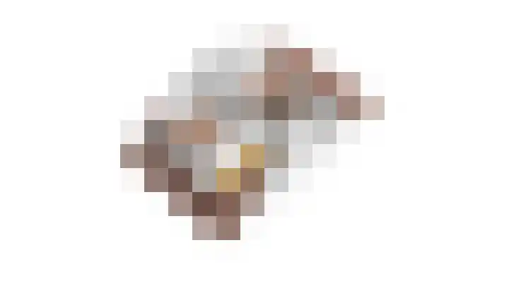 Schouwmeester 2 Zwaag thumbnail 61