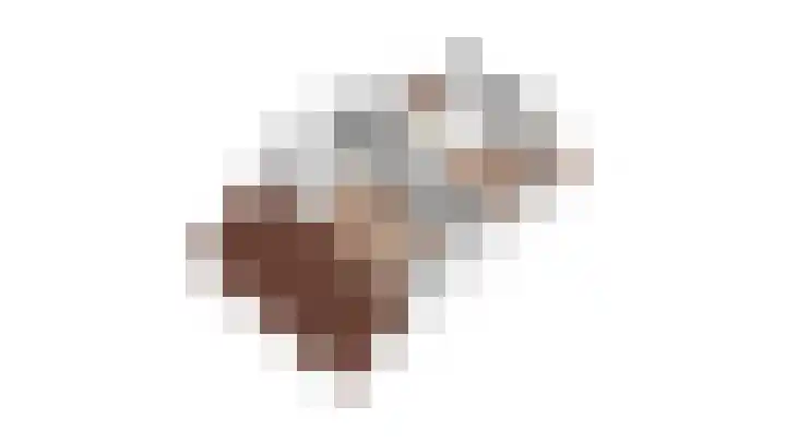 Schouwmeester 2 Zwaag thumbnail 62