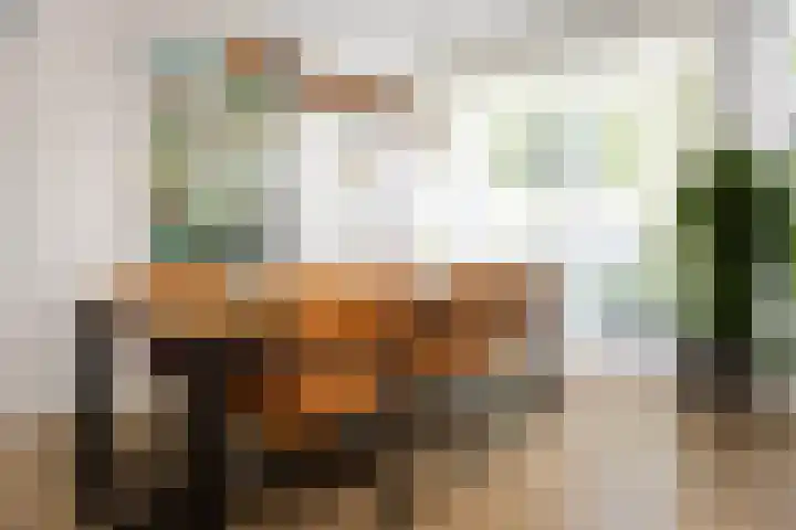 Schouwmeester 2 Zwaag thumbnail 7