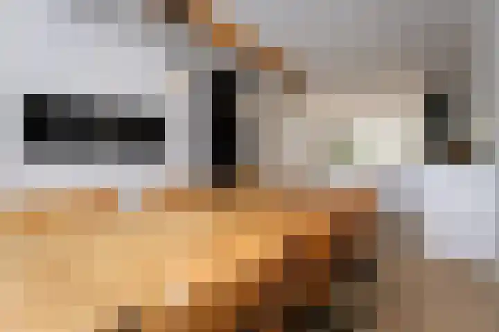 Schouwmeester 2 Zwaag thumbnail 8
