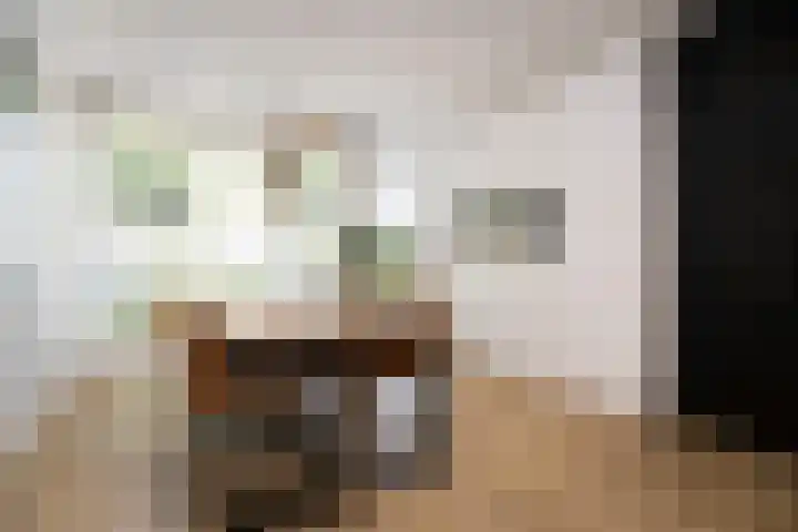 Schouwmeester 2 Zwaag thumbnail 9
