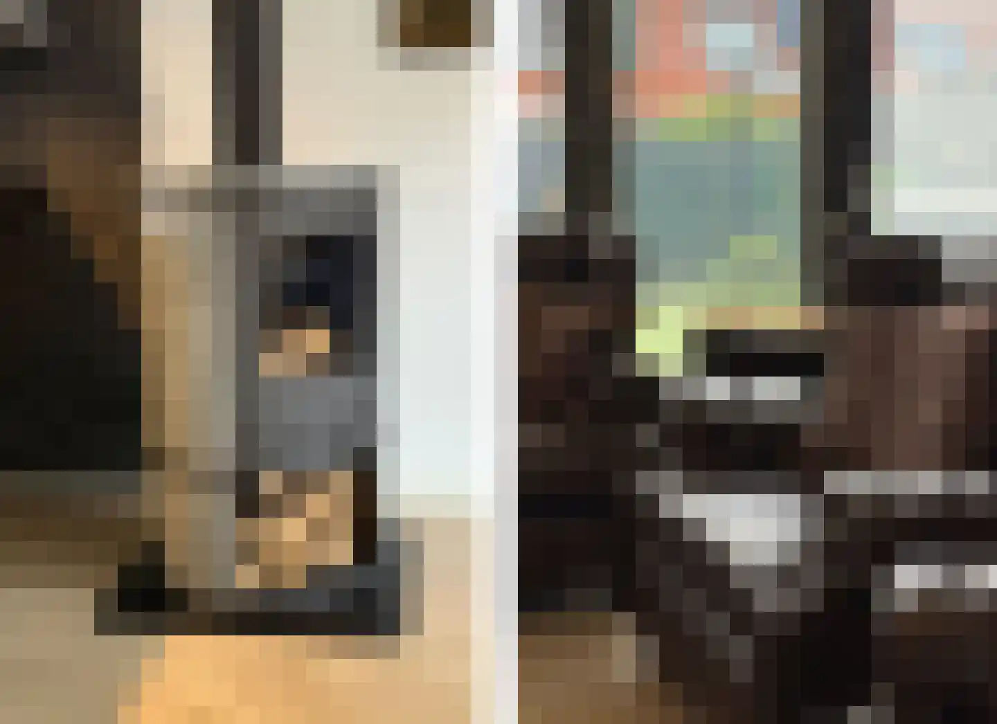 Schouwmeester 48 Zwaag thumbnail 13
