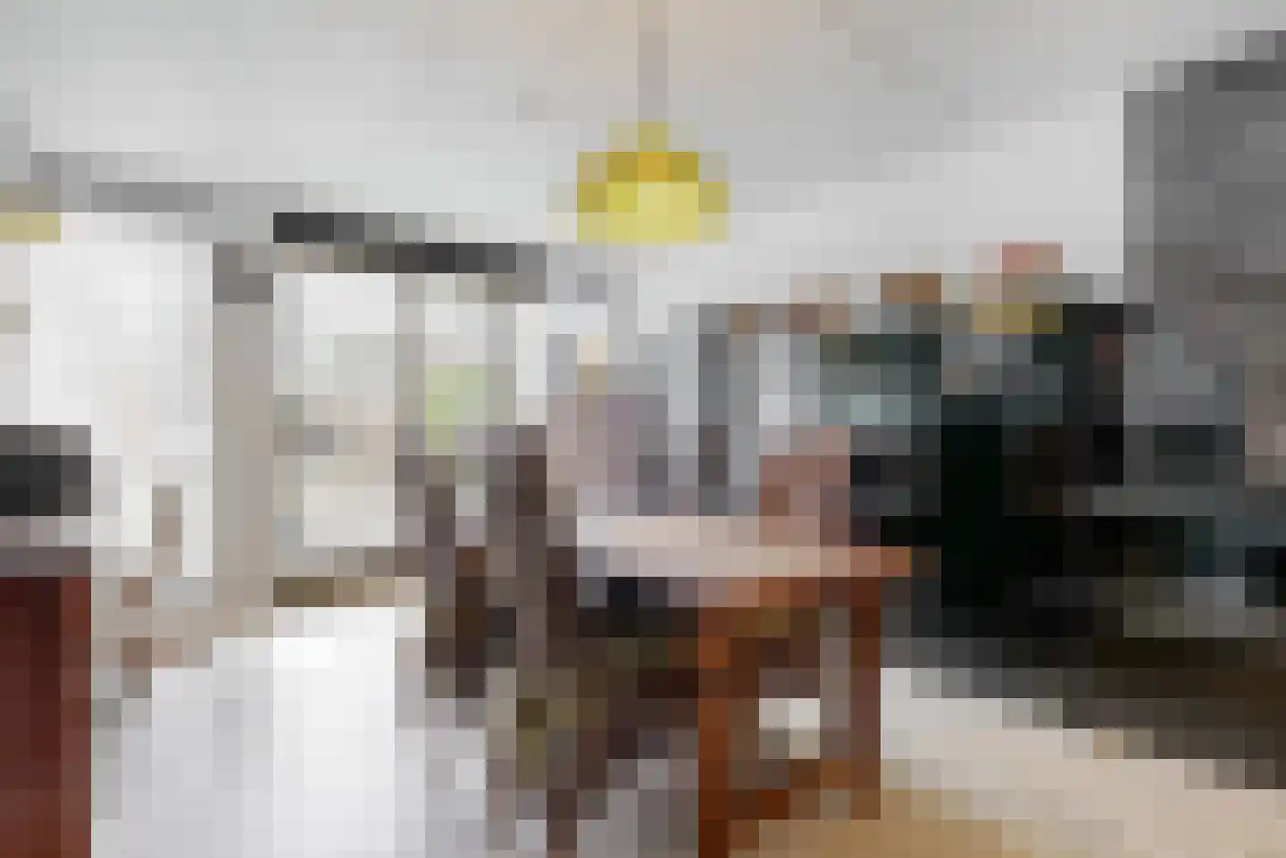 Schouwmeester 48 Zwaag thumbnail 16