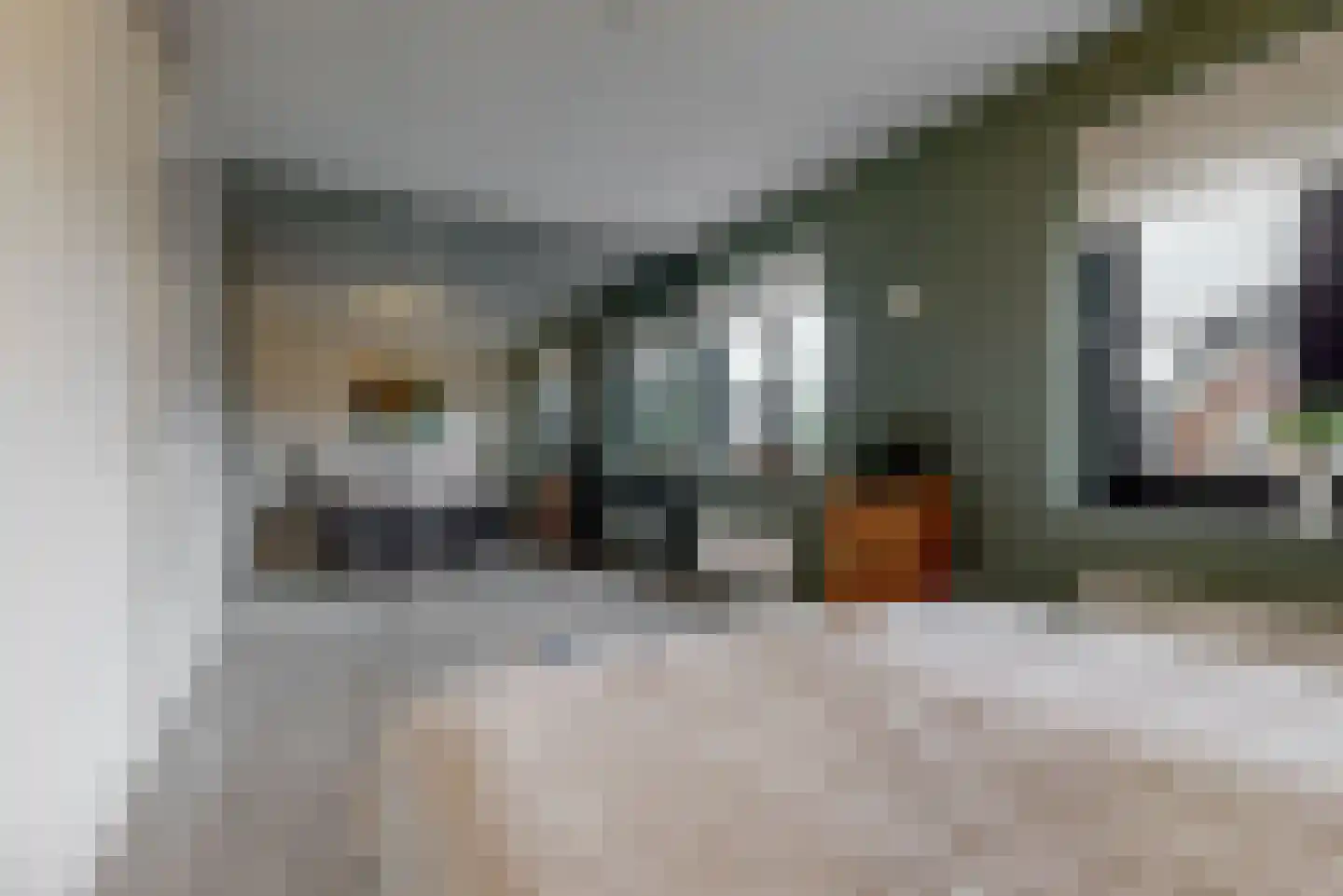 Schouwmeester 48 Zwaag thumbnail 17