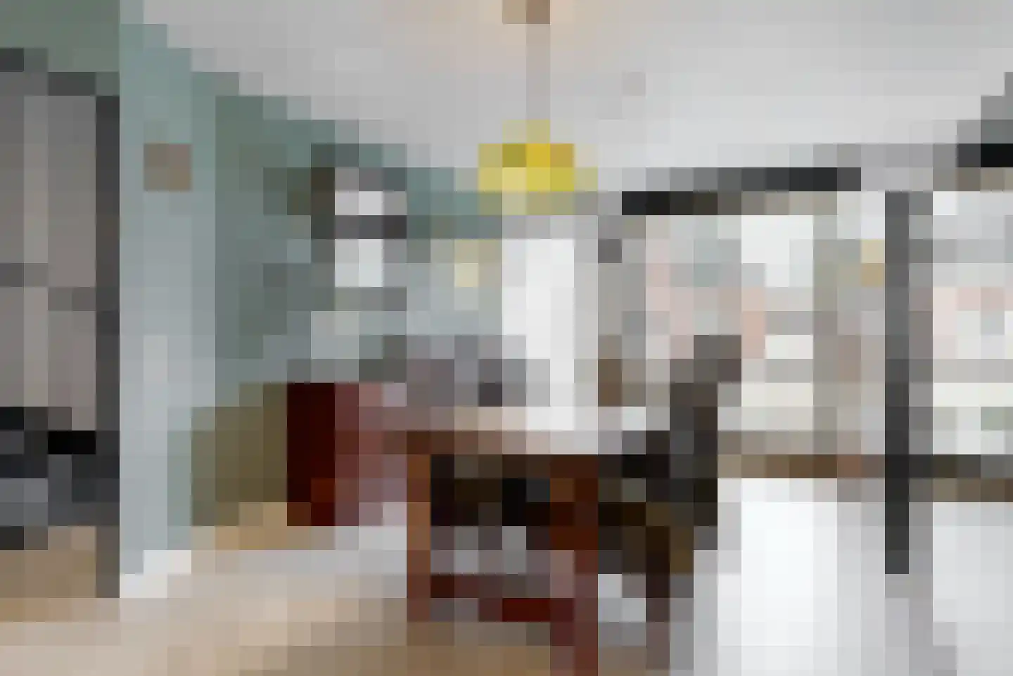 Schouwmeester 48 Zwaag thumbnail 17