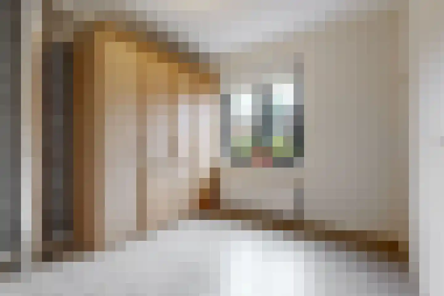 Schouwmeester 48 Zwaag thumbnail 20