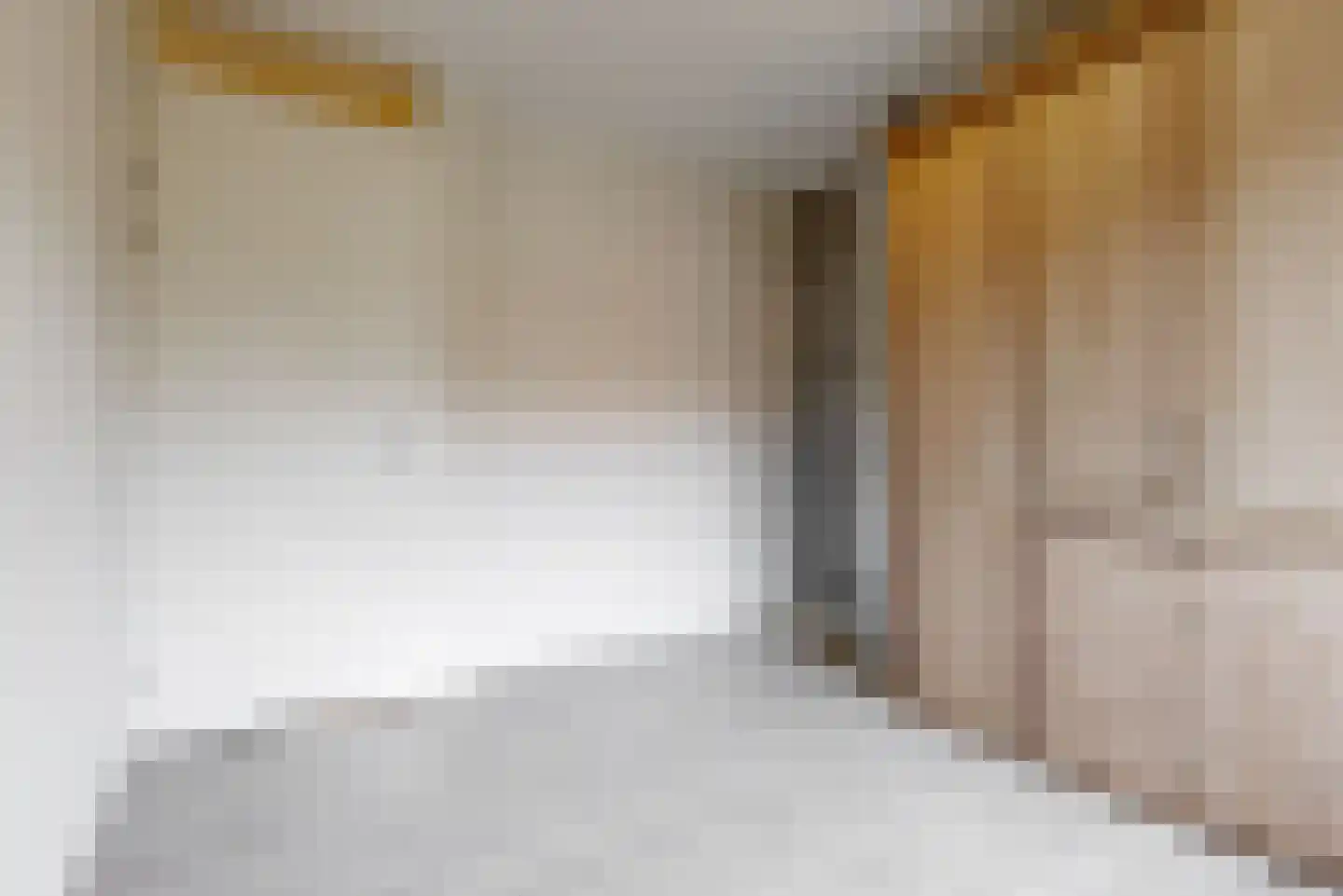 Schouwmeester 48 Zwaag thumbnail 21