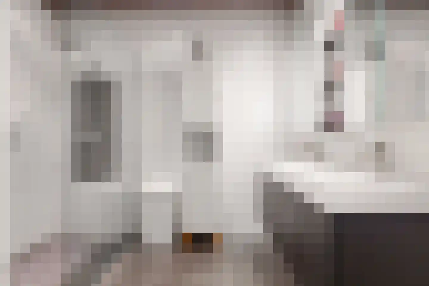 Schouwmeester 48 Zwaag thumbnail 22