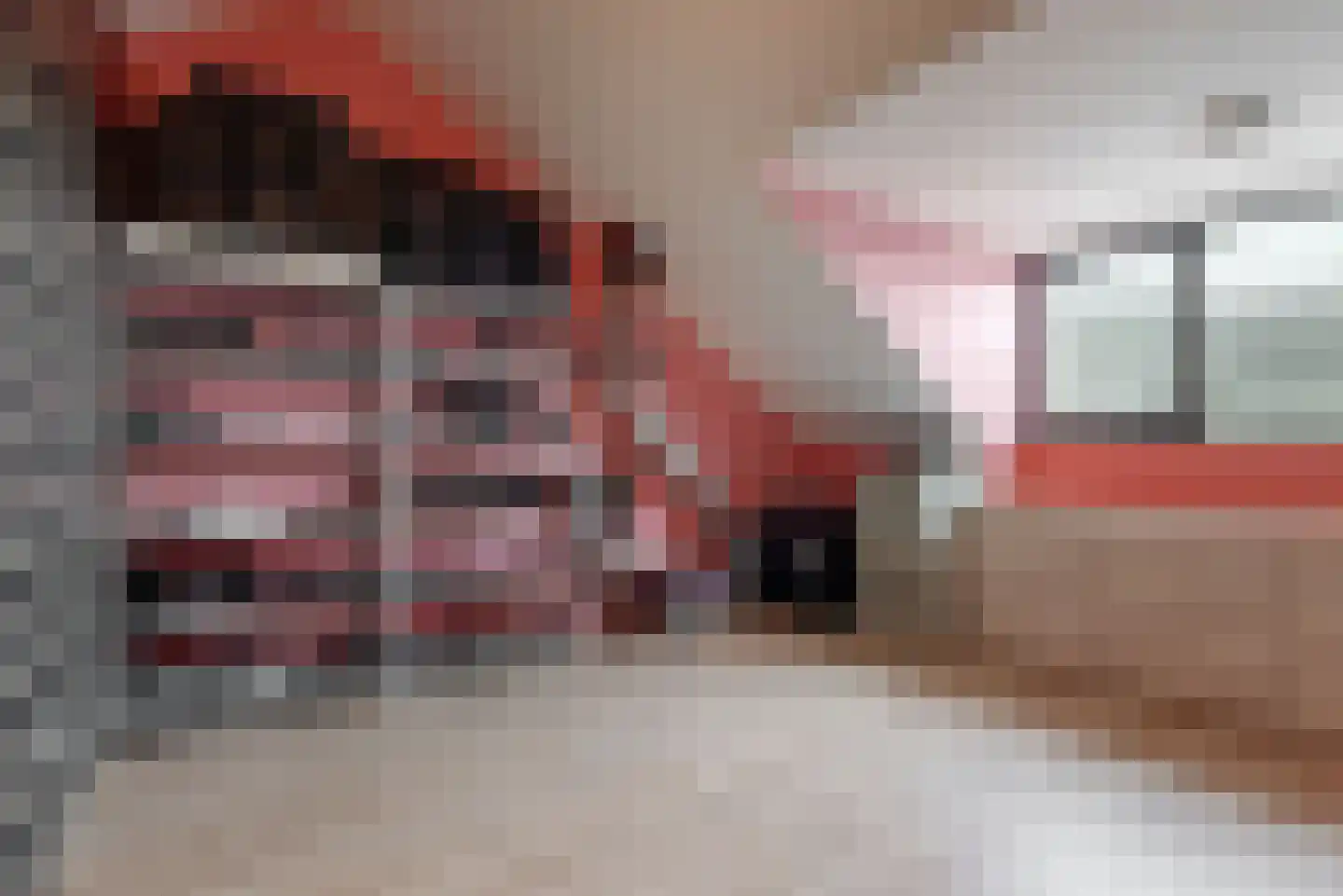 Schouwmeester 48 Zwaag thumbnail 25