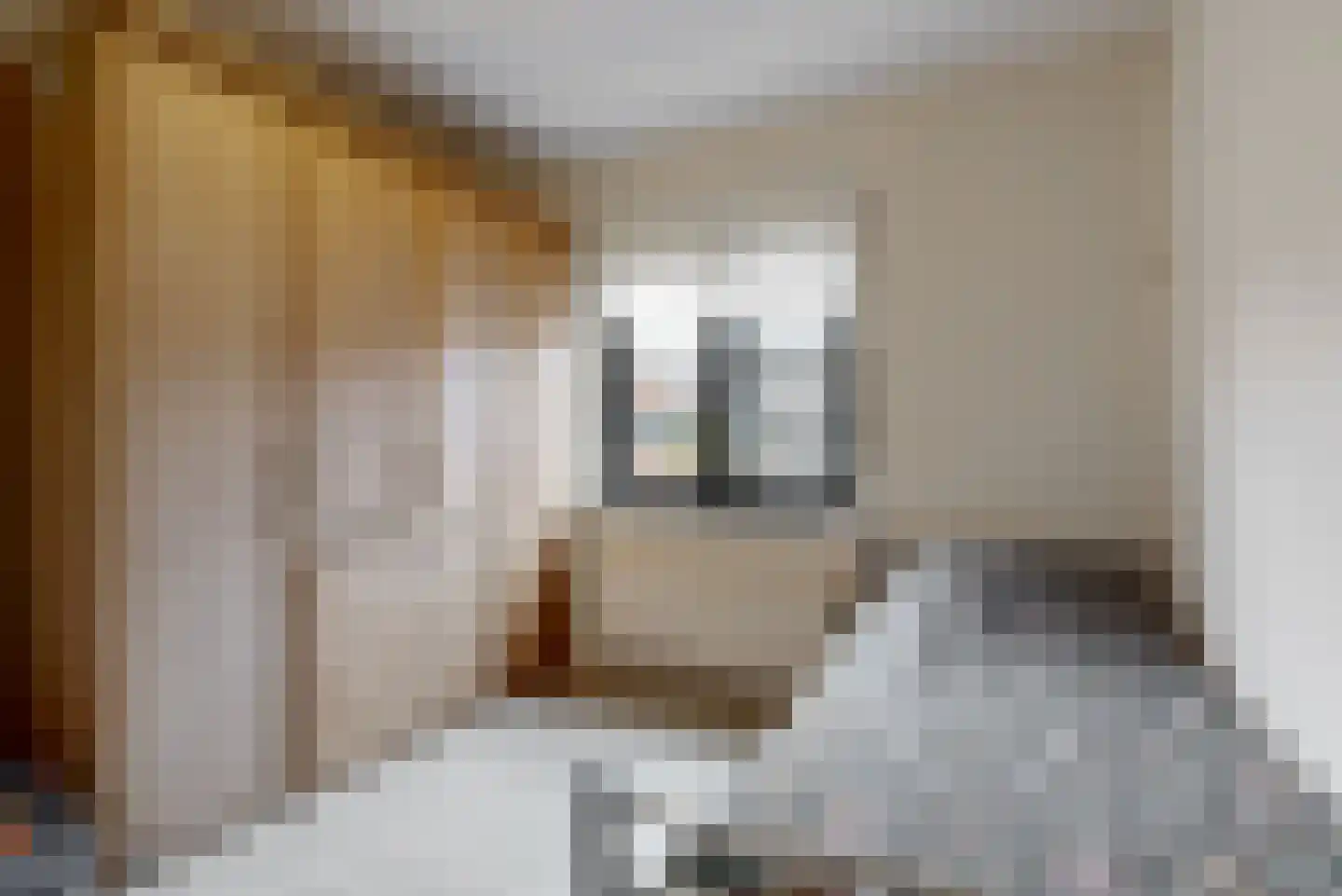Schouwmeester 48 Zwaag thumbnail 26