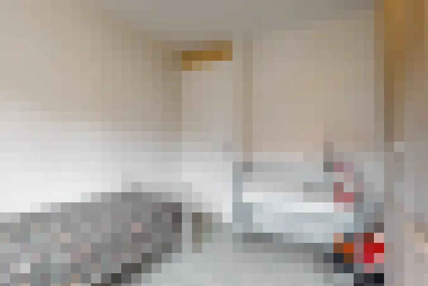 Schouwmeester 48 Zwaag thumbnail 27