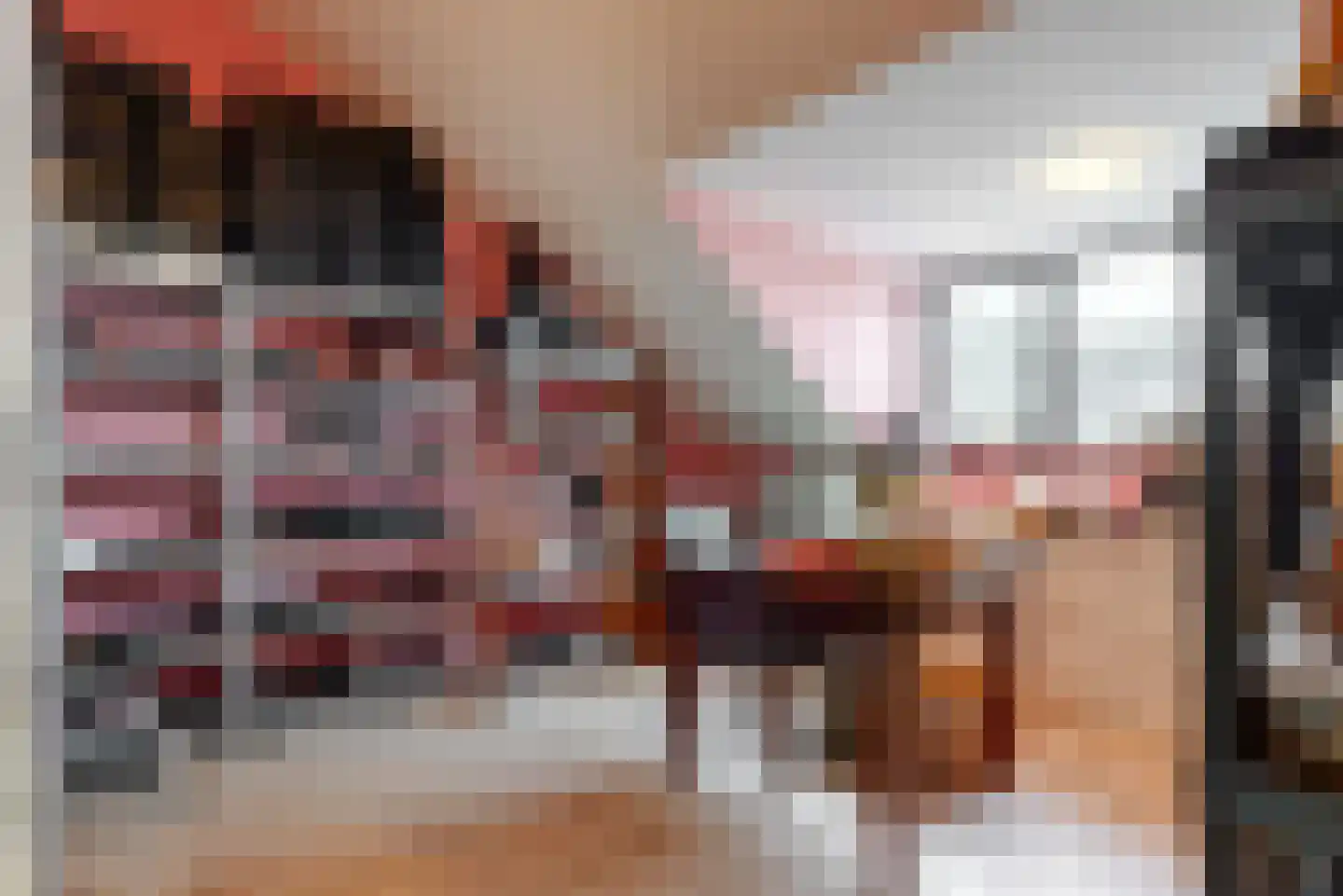 Schouwmeester 48 Zwaag thumbnail 29