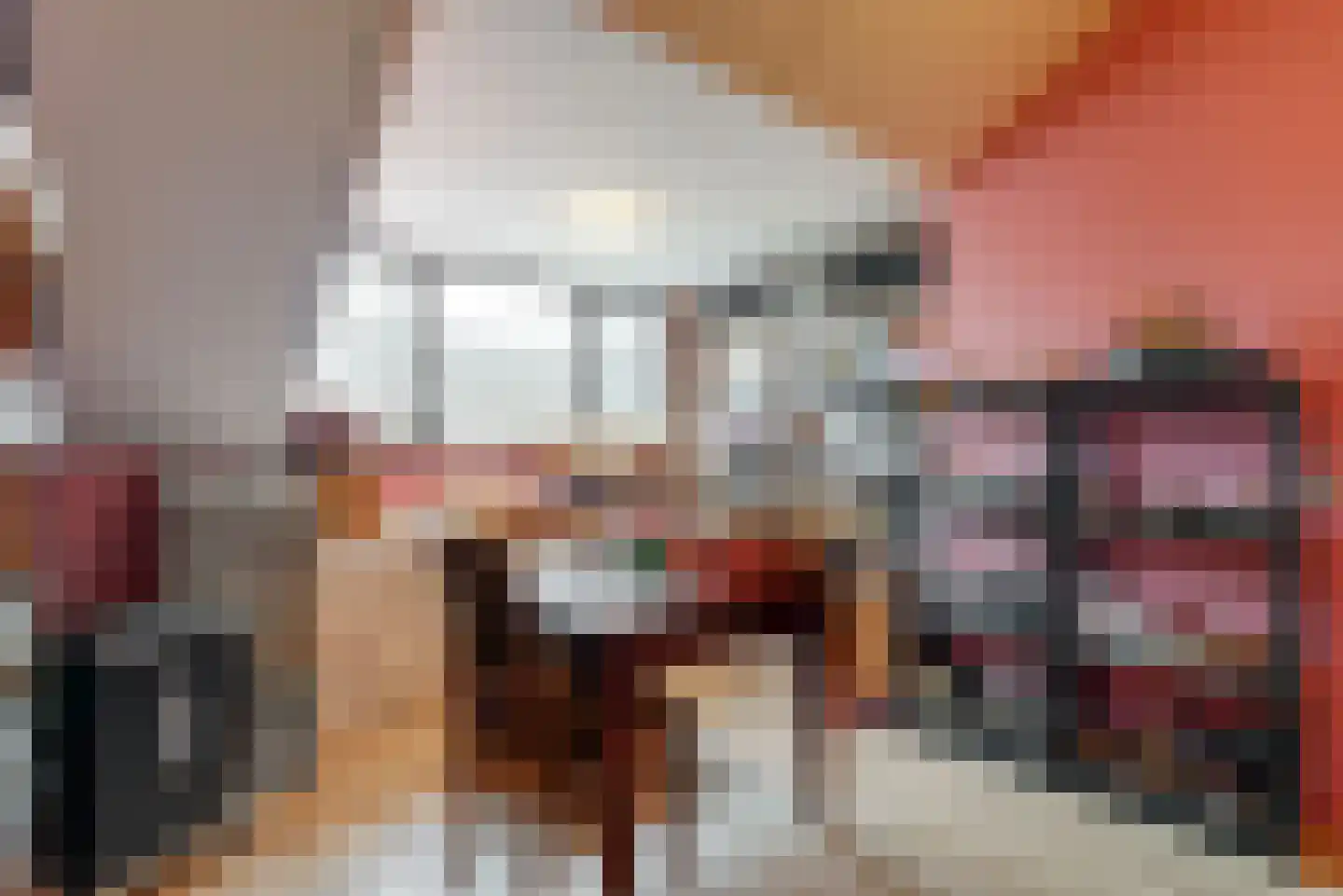 Schouwmeester 48 Zwaag thumbnail 30