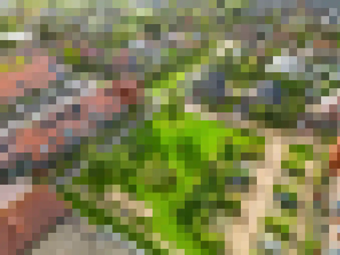 Schouwmeester 48 Zwaag thumbnail 31