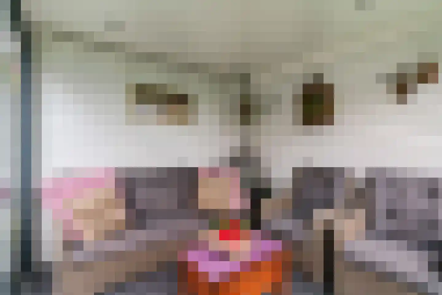 Schouwmeester 48 Zwaag thumbnail 33