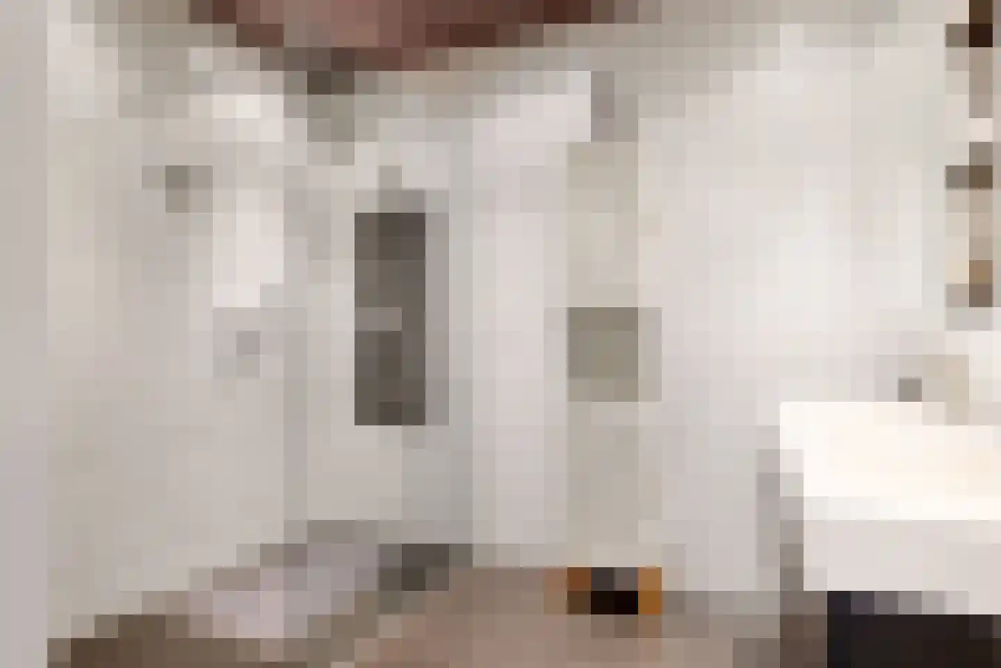 Schouwmeester 48 Zwaag thumbnail 4