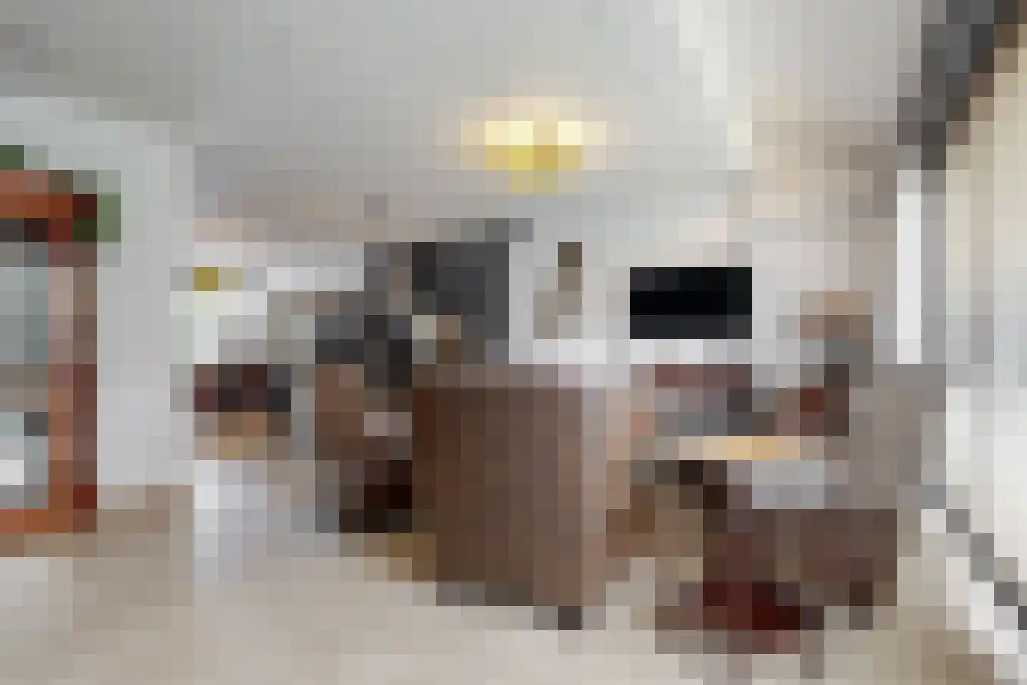 Schouwmeester 48 Zwaag thumbnail 4
