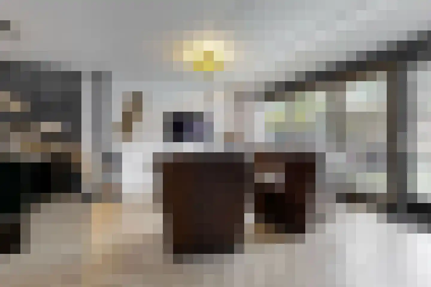 Schouwmeester 48 Zwaag thumbnail 5