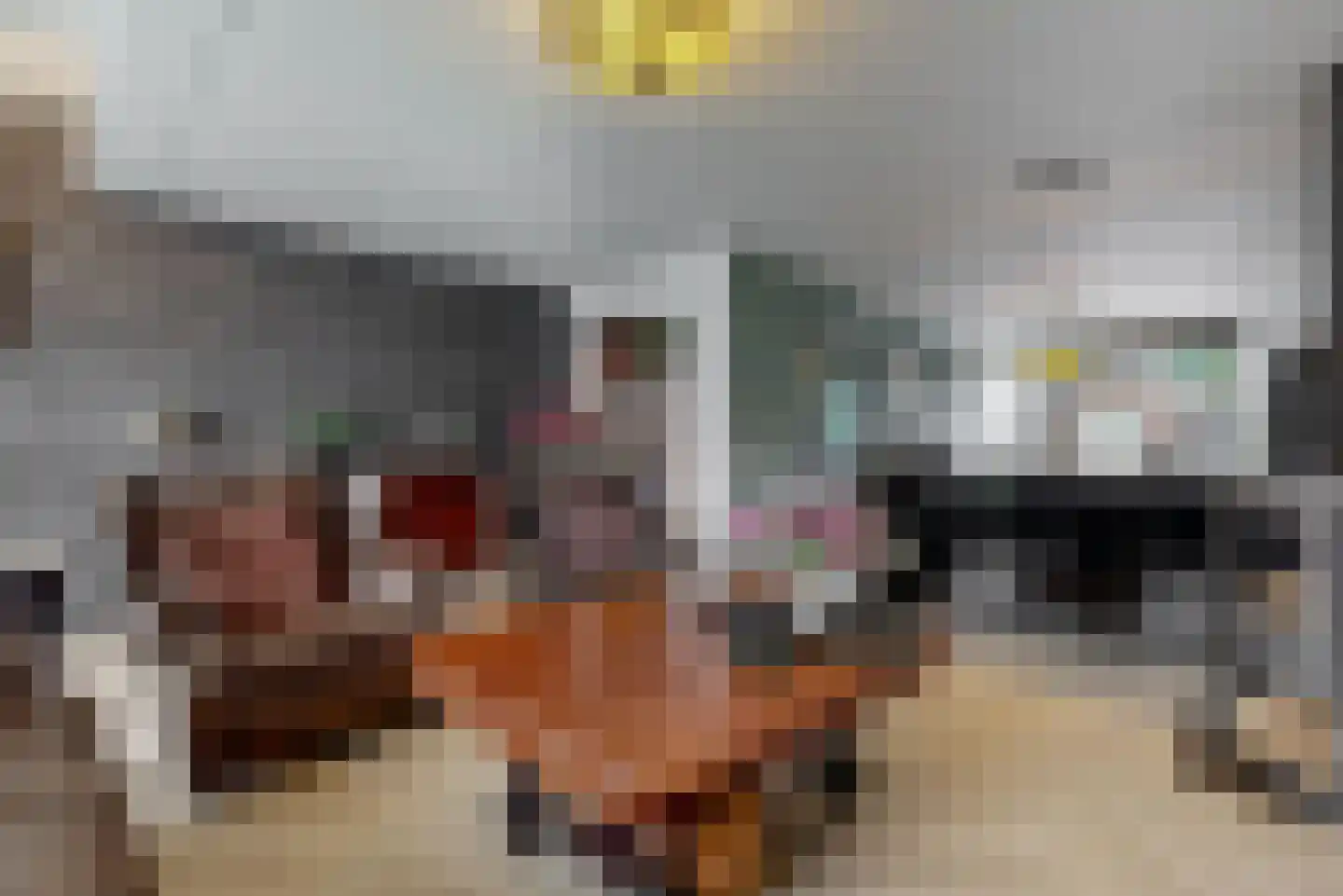 Schouwmeester 48 Zwaag thumbnail 6