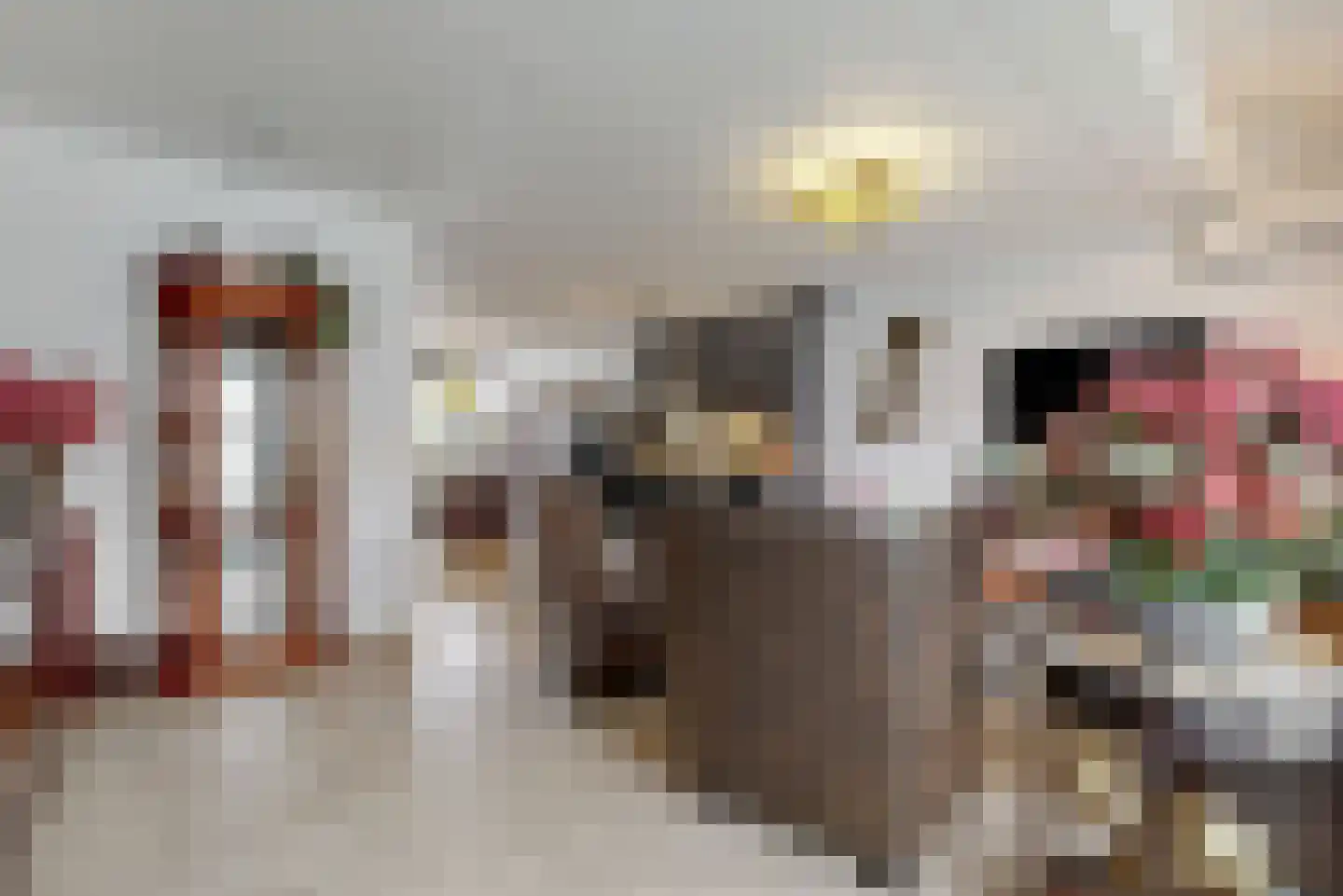 Schouwmeester 48 Zwaag thumbnail 8