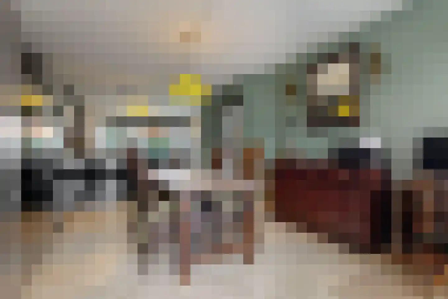 Schouwmeester 48 Zwaag thumbnail 9