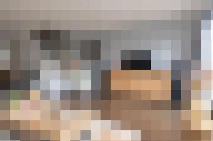 Schouwmeester 90 Zwaag thumbnail 12