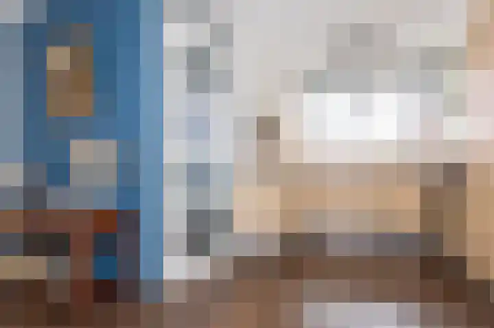 Schouwmeester 90 Zwaag thumbnail 17