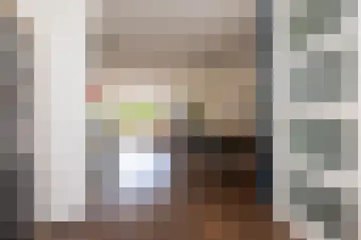 Schouwmeester 90 Zwaag thumbnail 19
