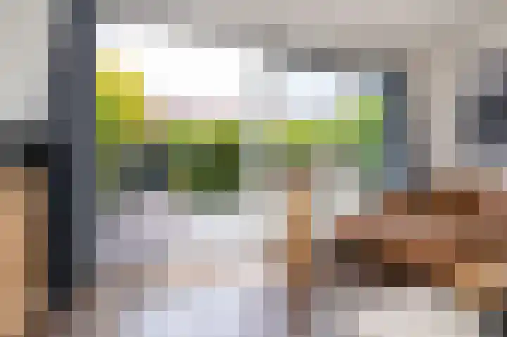 Schouwmeester 90 Zwaag thumbnail 24
