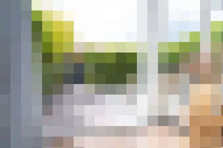 Schouwmeester 90 Zwaag thumbnail 25