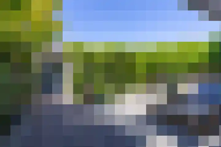 Schouwmeester 90 Zwaag thumbnail 26
