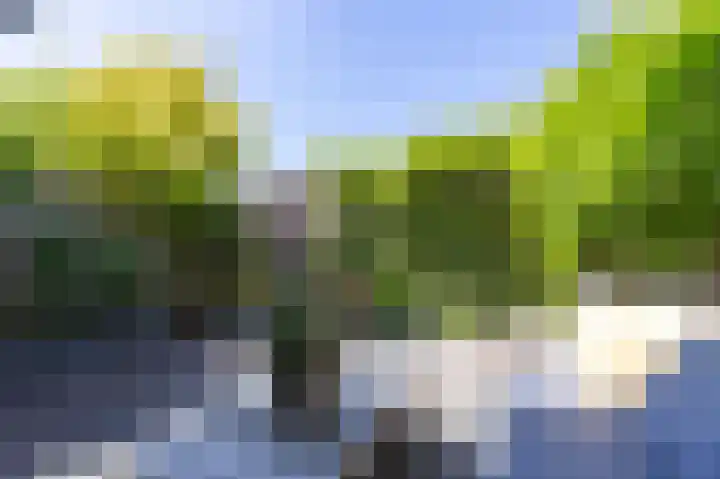 Schouwmeester 90 Zwaag thumbnail 28