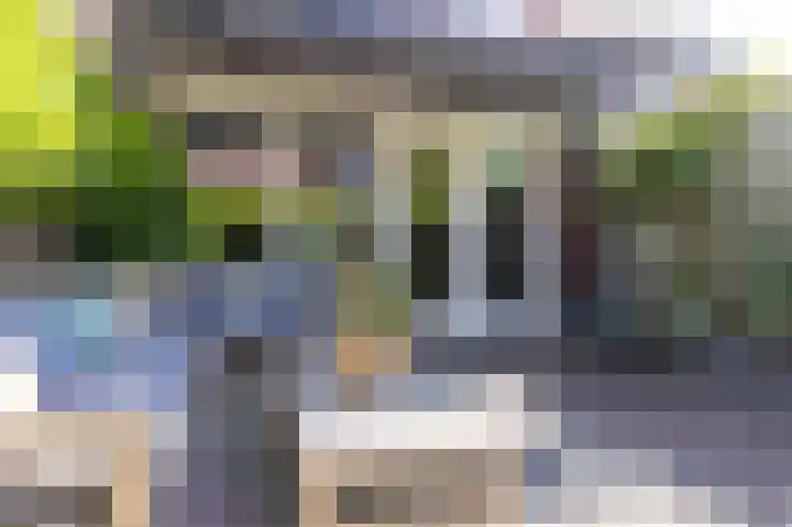 Schouwmeester 90 Zwaag thumbnail 29