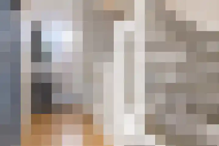 Schouwmeester 90 Zwaag thumbnail 32