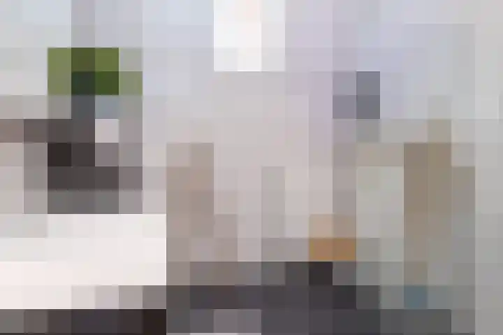 Schouwmeester 90 Zwaag thumbnail 33