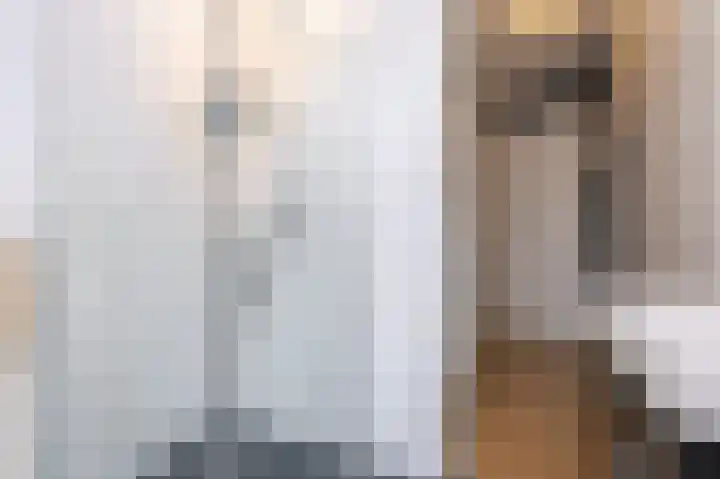 Schouwmeester 90 Zwaag thumbnail 34
