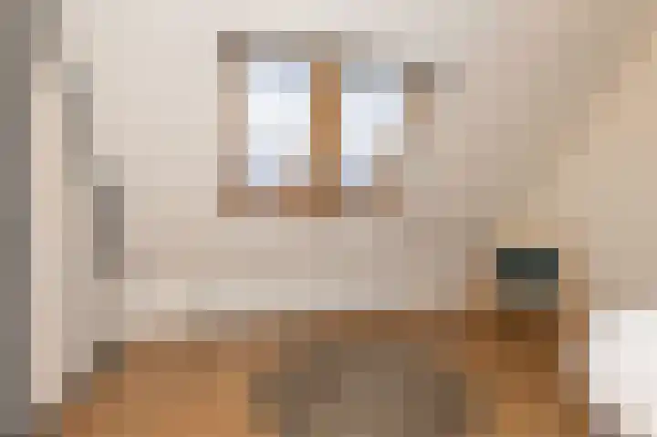 Schouwmeester 90 Zwaag thumbnail 36