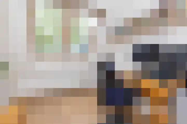 Schouwmeester 90 Zwaag thumbnail 39